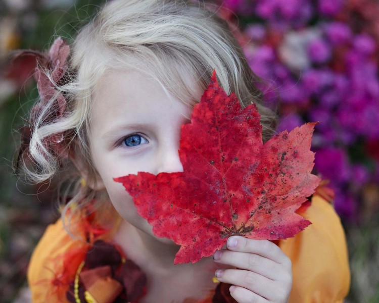 Natuuractiviteit jeugd  "Herfst activiteit"