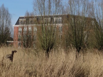 Album afbeelding 12
