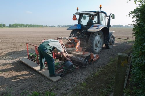 Inzaaien akkerranden in de Hoeksche Waard