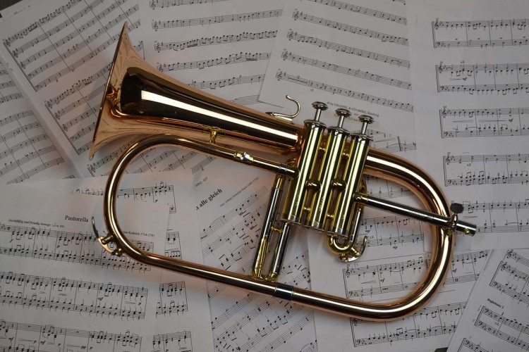 EMM Heerjansdam: Beleef de fascinerende wereld van de fanfare