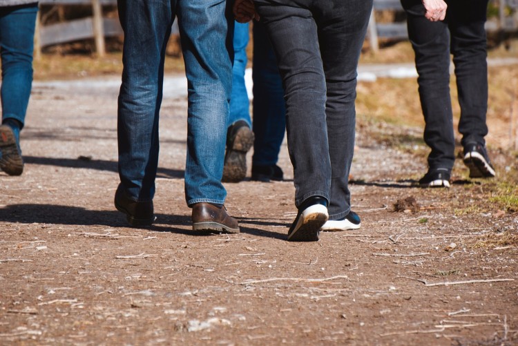 Wandelgroepen bij Wijkvereniging de Kooy