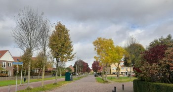 Album afbeelding 3: Hooftlaantje