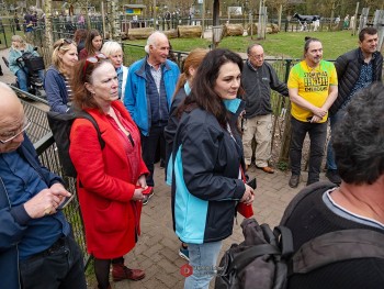 Album afbeelding 44