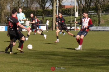 Album afbeelding 2