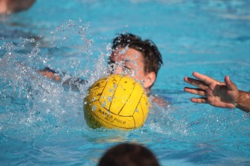ZPC Wiekslag en het Sportcentrum organiseren waterpoloactiviteit voor kinderen