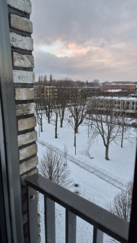 Album afbeelding 36: Inzending Marja Voorwald