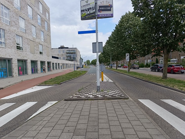 Jonge vandalen beschadigen auto's aan Veerweg