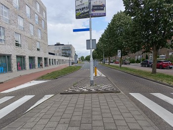 Jonge vandalen beschadigen auto's aan Veerweg