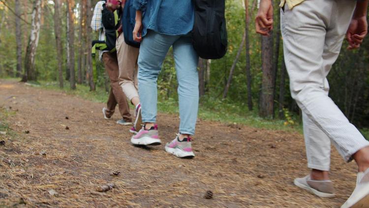 Start Nationale Wandeluitdaging 'Wandel je fit'