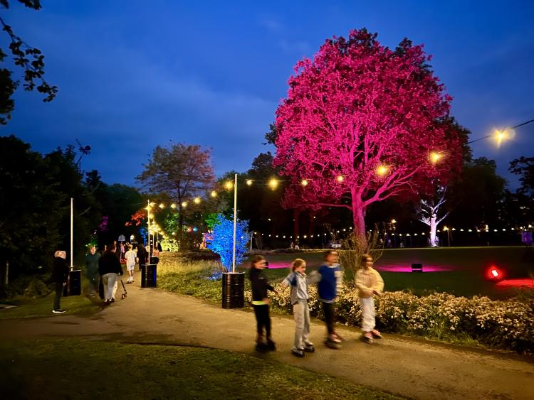 Dordrecht rolt weer door het Weizigtpark: Rollebollen keert terug met drie zomerse edities