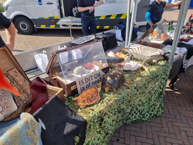 Veiligheidsdag op de Markt trekt jong en oud met interactieve demonstraties
