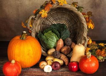 Herfstproeverij op de Westpolder