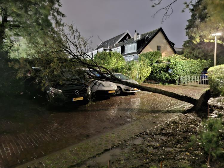 Omgewaaide boom beschadigt twee bestelwagens