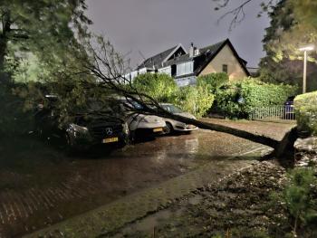 Omgewaaide boom beschadigt twee bestelwagens