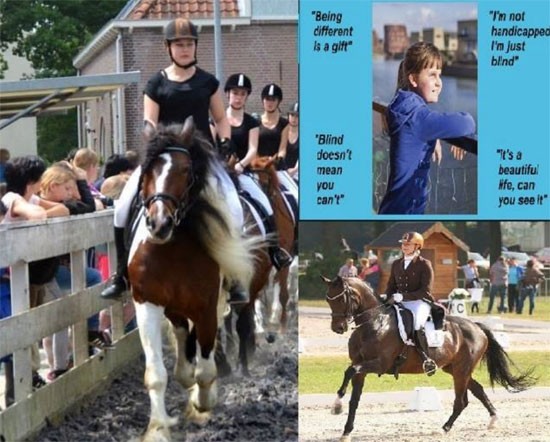 Open Dag Dordtsche Manege