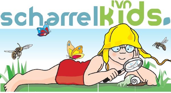Scharrelkids ‘Haren en veren’ (6-12 jaar)