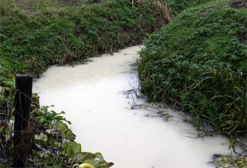 Illegale dump aan de Zanddijk