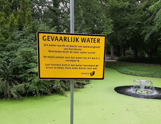 Wellicht ook botulisme in Park Merwestein