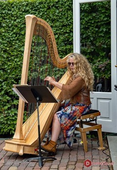 Album afbeelding 10: Bij literaire lezingen past stemmige muziek