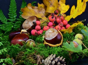 Natuuractiviteit jeugd - Herfst workshop