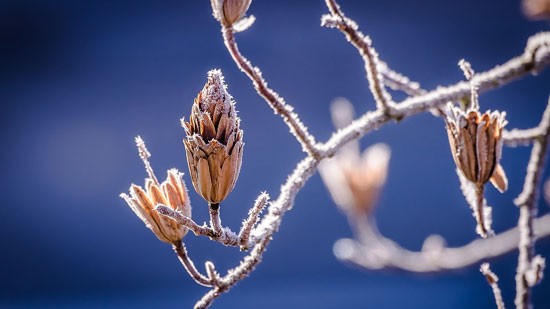 Winterfeest bij de Heerlijkheid