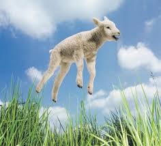 De lente wordt voorbereid