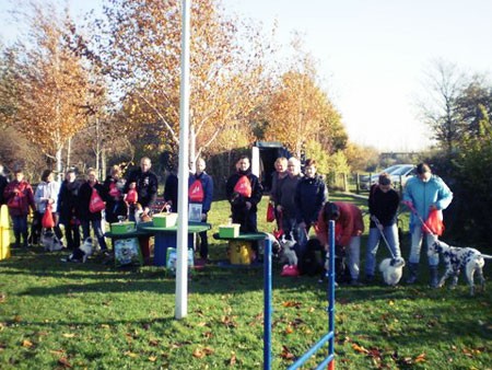 Cock van der Worm wint Flyball VVHP