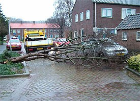 Storm teistert Papendrecht