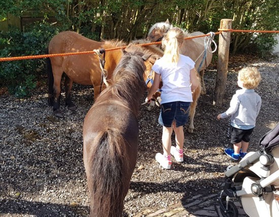 Gemeentewinkel dicht tijdens paardenmarkt