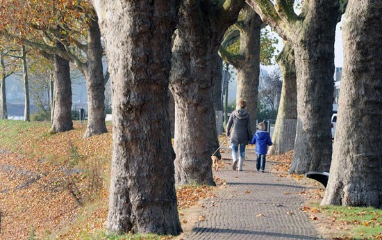 Fotowedstrijd Trotsopsliedrecht