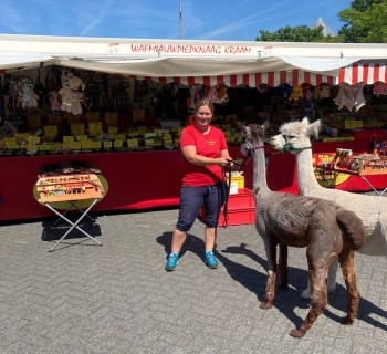 Album afbeelding 1: Op de markt bij De Schoof