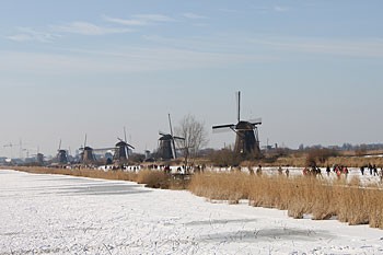Album afbeelding 12