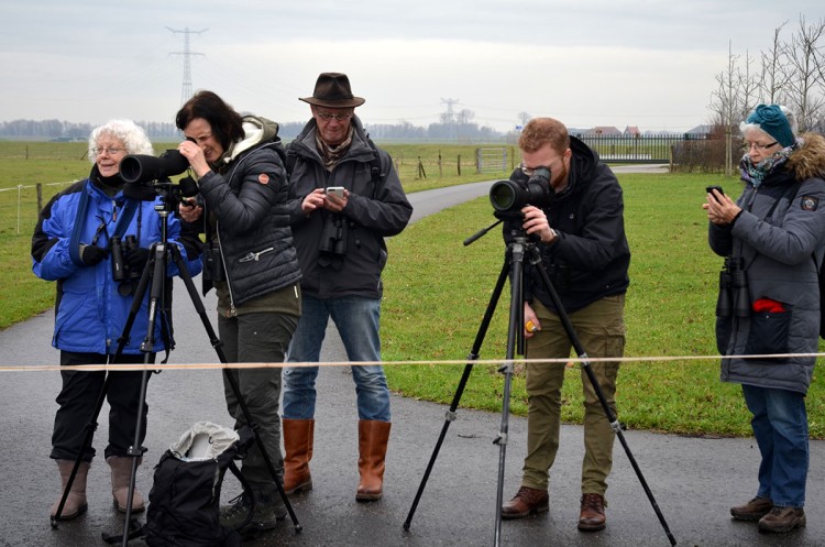 Vogels kijken en inventariseren in de Biesbosch