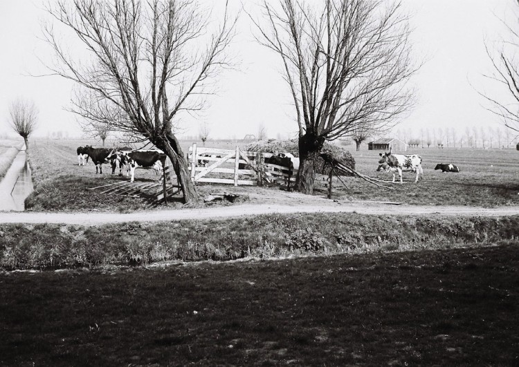 Dorpsbehoud presenteert: ‘BOEREN, BURGERS EN BUITENLUI’