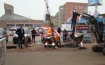 Vijftien nieuwe bomen aan Wilgenplein