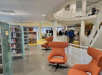 Kunst voormalig museum De Rietgors krijgt nieuw podium in bibliotheek