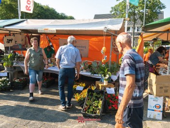 Album afbeelding 29