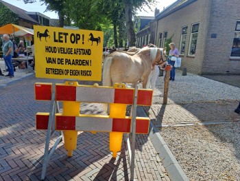 Album afbeelding 1
